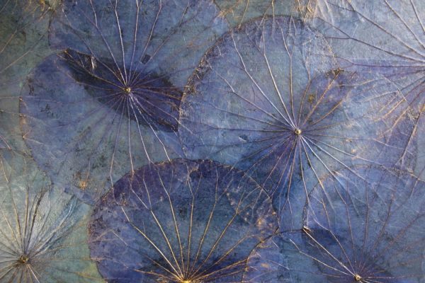 120 x 80 Lotus Leaf Art Moody Blue