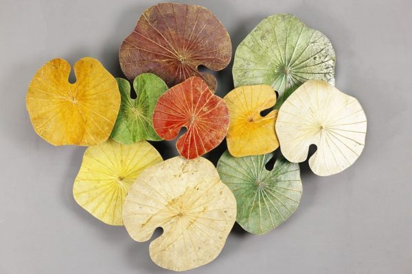 3D 10 Lotus Leaf Art Autumn Splendour