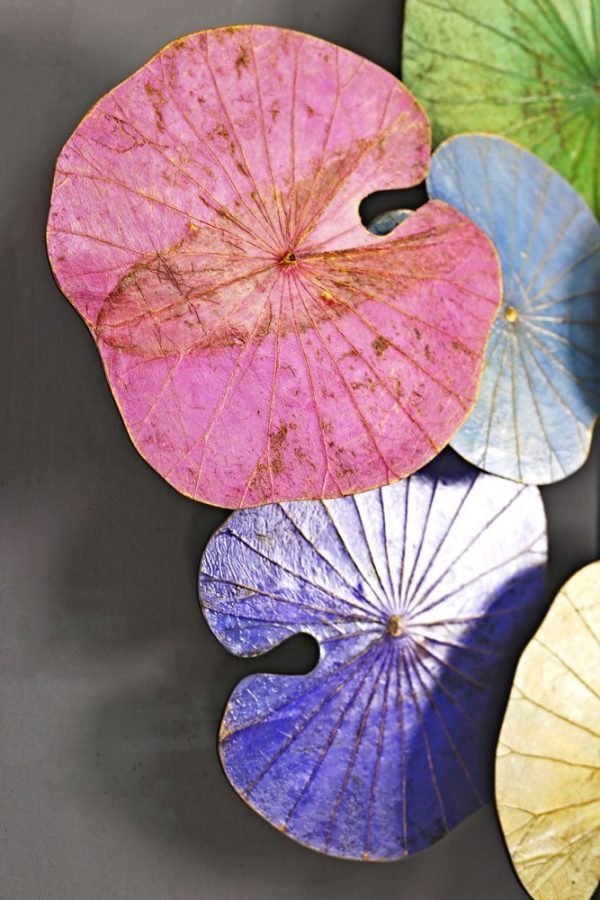 3D 10 Lotus Leaf Art Spring Blossom