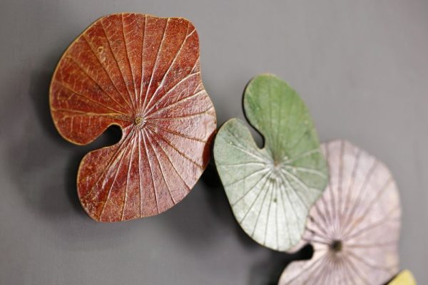 3D 5 Lotus Leaf Art Spring Blossom