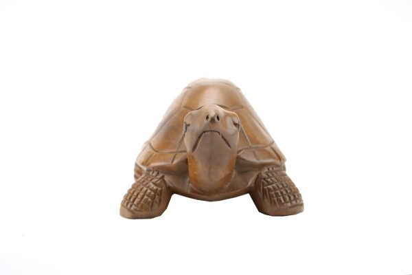Large Wooden Turtle